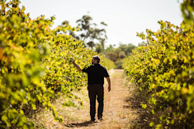 Toorak Cellar Door 3