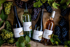 Mount Tumbarumba Cellar Door 4