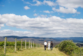 Obsession Cellar Door 5