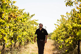 Toorak Cellar Door 4