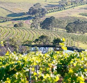 Petersons mount view