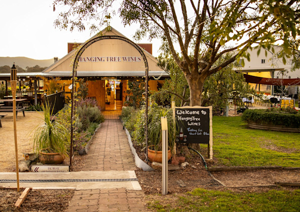 Hanging Tree Wines
