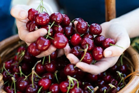 Ballinaclash Cellar Door 5