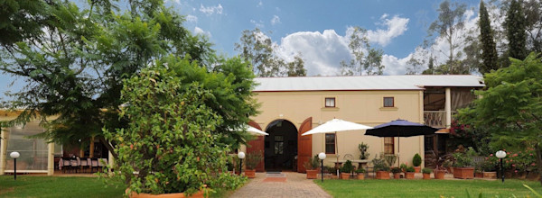 Tintilla cellar door