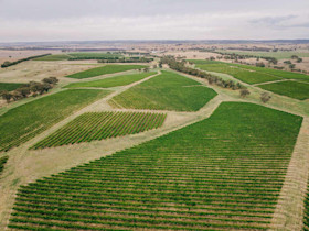 Barwang Wines Cellar Door