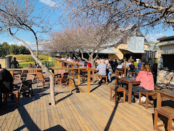 Peterson house oyster bar