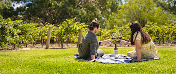 Reillys Cellar Door 2