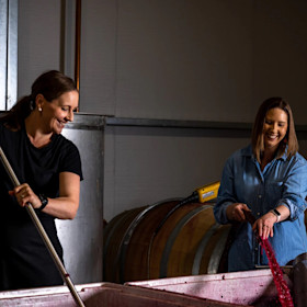 Two Sisters Wine Cellar Door 5