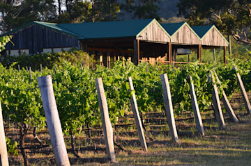 Baringbah Wines