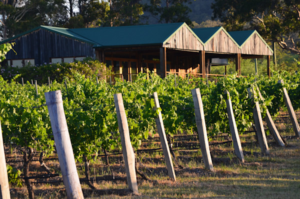 Baringbah Wines