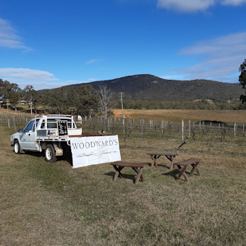 Woodwards wine tasting