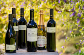 Bec Hardy Cellar Door 2