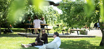 Meander Valley Vineyard Cellar Door