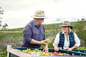 Savannah Estate Cellar Door 1