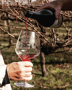 Mount Tumbarumba Cellar Door 2