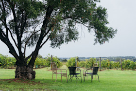 The Parched Crow view