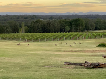 Wine Tasting at Berand Estate