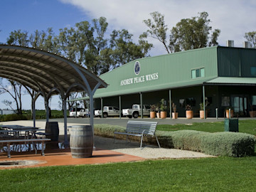 Andrew Peace Cellar Door 1