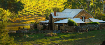 Hutton Vale Farm Cellar Door 1