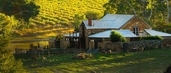 Hutton Vale Farm Cellar Door 1