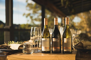 Cape Mentelle Cellar Door 1