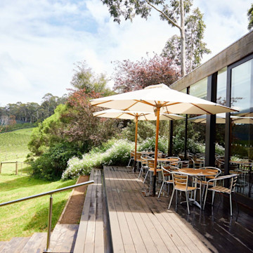 Foxeys Hangout Cellar Door 1