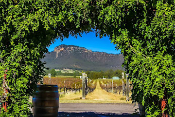 nightingale-wines-hunter-valley-vineyard-broke-winery