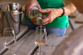 Ballinaclash Cellar Door 2