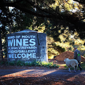 Deb-and-cuddles-at-tank