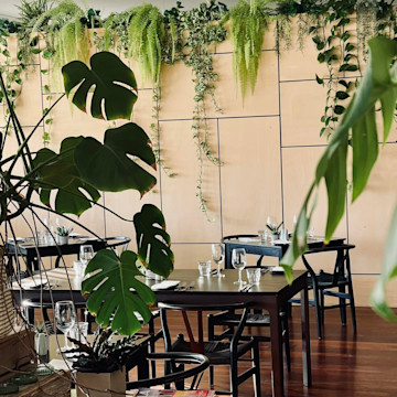 TREAND Cellar Door 1