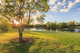 Capercaillie homestead