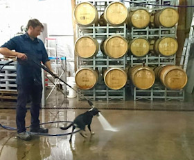 Murrumbateman Cellar Door