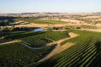 canberra wine region collector wines