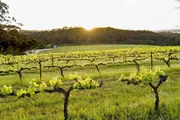 Clare Valley