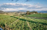 Yarra Valley