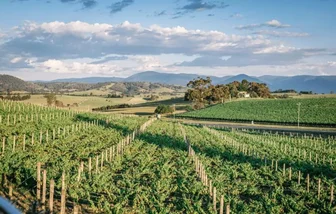 Balgownie Cellar Door 1