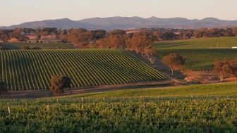 Angullong Cellar Door