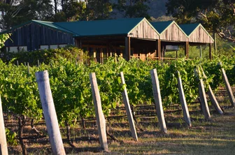 Baringbah Cellar Door