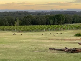 Berand Estate Cellar Door