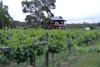 Theleme Wines Cellar Door