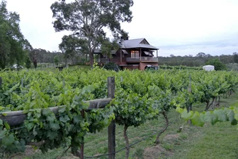 Theleme Wines Cellar Door