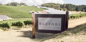 Blefari Wines Cellar Door 1