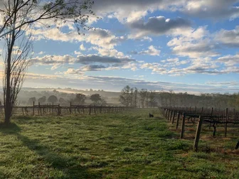 Brangayne Cellar Door