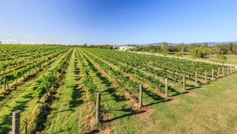 Capercaillie Cellar Door