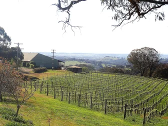 Cargo Road Cellar Door