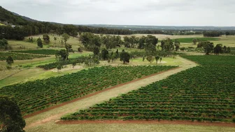 Colvin Wines Cellar Door