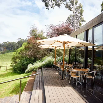 Foxeys Hangout Cellar Door 3