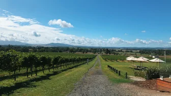 Greenstone Cellar Door