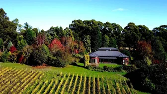 Grey Sands Vineyard Cellar Door