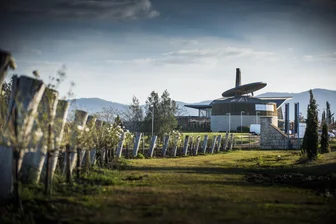 Hungerford Hill Cellar Door